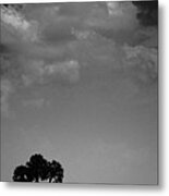 Four Palms Metal Print