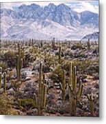 Four Peaks Snowstorm Metal Print