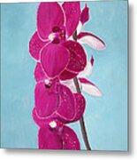 Four Pink Orchids Metal Print