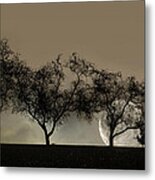Four Trees And A Moon Metal Print