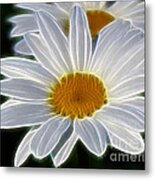 Fresh As A Daisy Metal Print