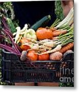 Fresh Organic Vegetables Metal Print