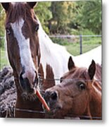 Friends Share Metal Print