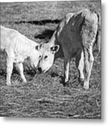 Friendship Metal Print