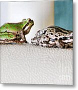 Frog Flatulence - A Case Study Metal Print