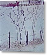 From Beyond The Fence Metal Print