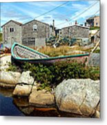 From The Cove Metal Print