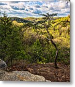 From The Top Of Conkles Hollow Metal Print