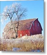 Frosted Country Morning Metal Print