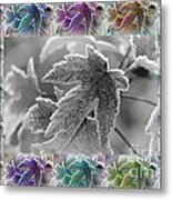 Frosted Maple Leaves In All Shades Metal Print