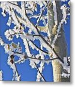 Frosted Tree Metal Print