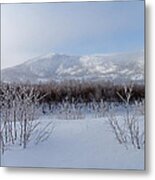 Frosty Mists In The Morning Metal Print