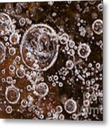 Frozen Bubbles Metal Print