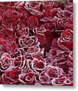 Frozen Tipped Red Roses Metal Print