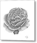 Full Bloom Metal Print