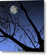 Full Moon And Black Winter Tree Metal Print