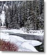 Gallatin River Metal Print