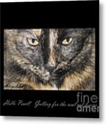 Gallery For The Real Cat Lovers Metal Print