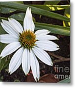 Garden Flower Metal Print