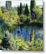 Garden Pond Metal Print