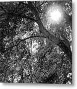 Gently Swept By Light 2 Metal Print