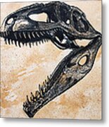 Giganotosaurus Skull Metal Print