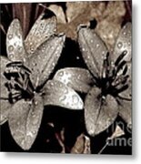 Gilded Lilies Metal Print