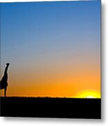 Giraffe Against The Setting Sun Metal Print