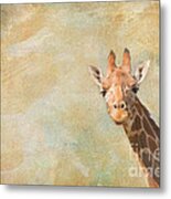Giraffe Art Metal Print