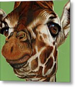 Giraffe Metal Print