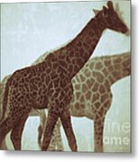 Giraffes In The Mist Metal Print