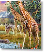 Giraffes Metal Print