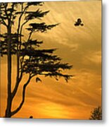 Girl On A Bench At Sunset Metal Print