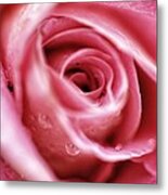 Give My Love To Rose Metal Print