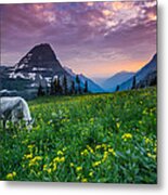 Glacier National Park 4 Metal Print