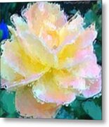 Glazed Pale Pink And Yellow Rose Metal Print