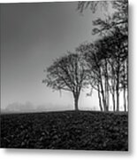 Gloomy Forest Metal Print