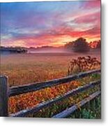 Glory Days Metal Print