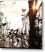 Glowing Landscape Metal Print