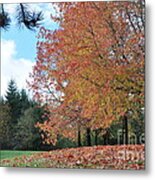 Golden Autumn  4 Metal Print