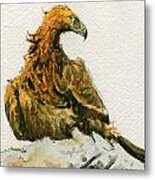 Golden Eagle Aquila Chrysaetos Metal Print