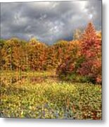 Golden Light And Autumn Leaves Metal Print