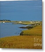 Golden Marsh Metal Print