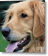 Golden Smile Metal Print