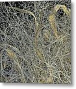 Golden Thread And Meadow Ribbon Metal Print