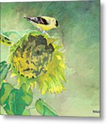 Goldfinch And Sunflowers Metal Print