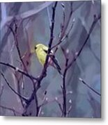Goldfinch In The Woods 2 Metal Print