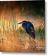 Goliath Heron With Sunrise Over Misty River Metal Print