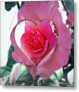 Valentine's Day Rose Metal Print