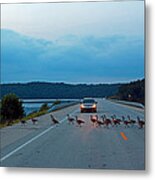 Goose Rush Hour Metal Print